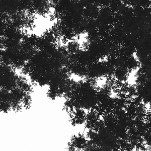 羞耻m字腿对镜自慰
