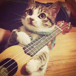 羞耻m字腿对镜自慰
